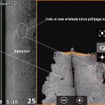 3d-l-kalad-naha-viidetega