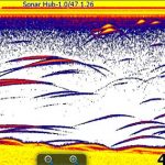 Fish arcs