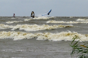 Jaani foto
